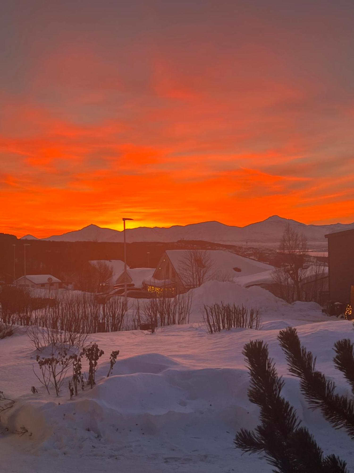 Apartament Lykkebo Tromsø Zewnętrze zdjęcie